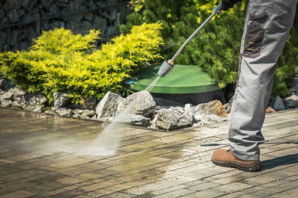 Best Fence Cleaning  in Port Hadlock Irondale, WA